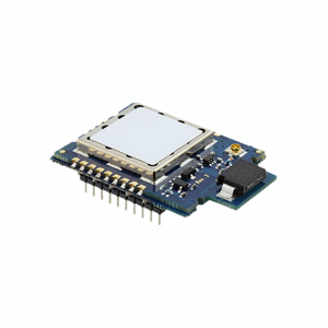 RM024-P125-M-30 Modules émetteurs-récepteurs RF et modems : Service complet original - Product Image 1
