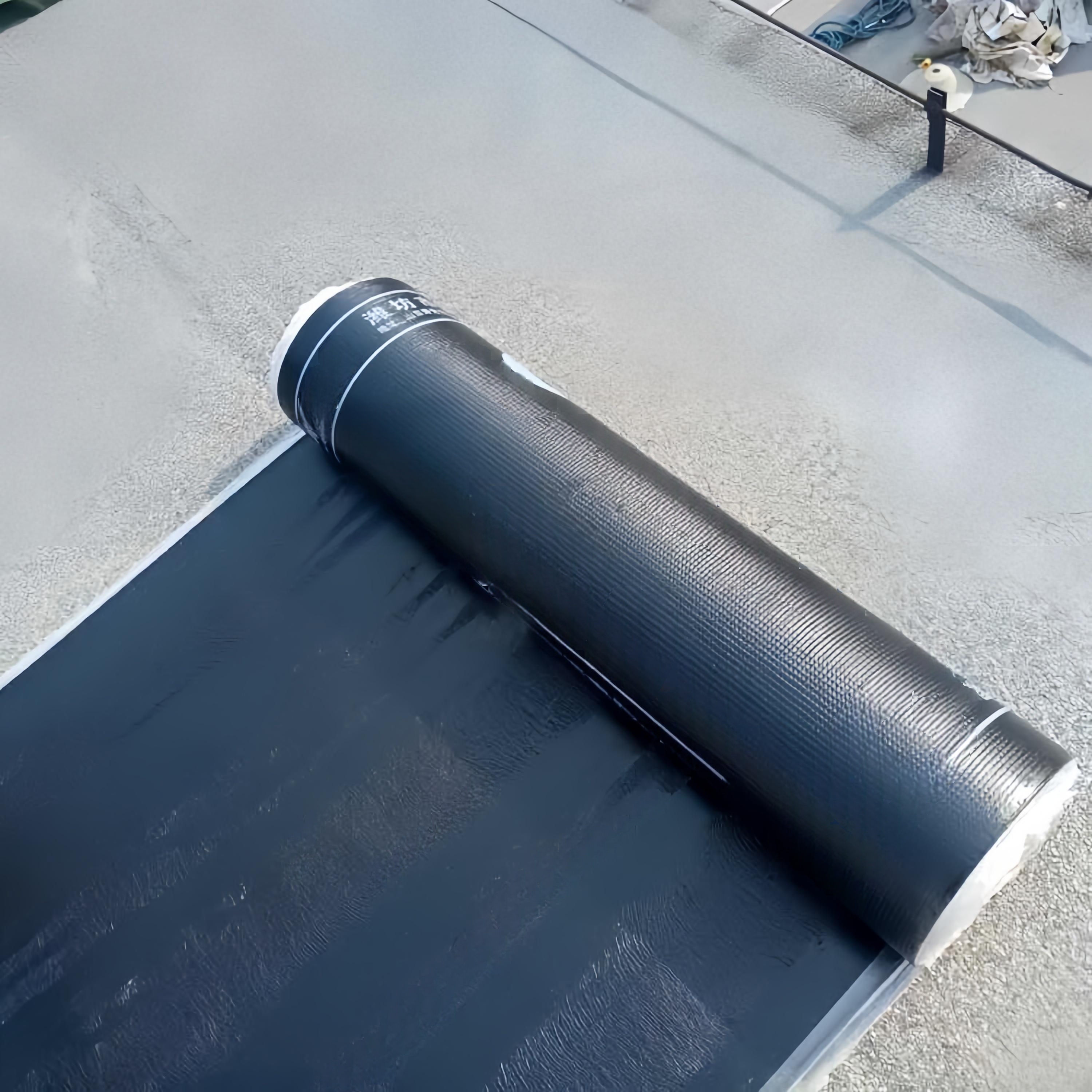 Modern Design SBS/App Modified Torch Roofing Membrane Sheet Water Resistant Polyester Waterproof Outdoor Asphalt Roof Felt