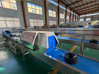 Ligne de machines automatisées pour le lavage, le cirage, le tri, la calibrage et l'emballage des oranges