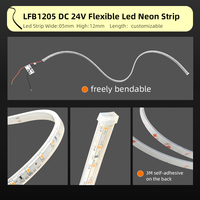Bande lumineuse LED flexible ultra-mince LFB1205-4 personnalisée, étanche IP66, néon, pour décoration extérieure de balustrades, arbres, jardins et parcs