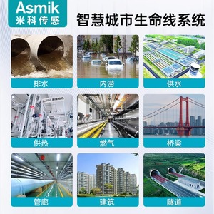 Medidor de Flujo Electromagnético Asmik con Instalación de Brida, Sensor de Flujo de Líquido de Acero Inoxidable para Líquidos Conductivos - Product Image 2