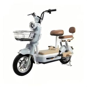 2024 Vélo cargo électrique à 2 roues avec moteur de moyeu arrière 250W Batterie au lithium 60V 48V Capacité de 150kg Écran LCD pour adultes - Product Image 6