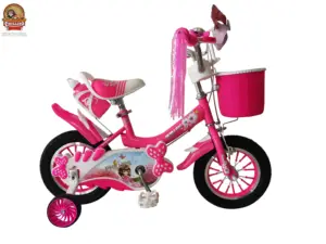 Nuovo modello unico per bambini bicicletta fabbrica diretta singola velocità per le bambine con la linea del freno phillips ciclo per bambini