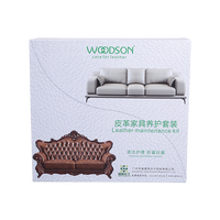 Home Clean Set: Kit d'entretien des meubles avec brosse de lavage et nettoyants forts Nettoyant pour intérieur de tapisserie d'ameublement