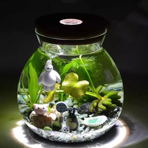 <span class=keywords><strong>Vaso</strong></span> <span class=keywords><strong>in</strong></span> Vetro Borosilicato Fatto a Mano con Muschio Bianco Colorato e Pianta Succulenta, Terrario <span class=keywords><strong>in</strong></span> Vetro con Coperchio <span class=keywords><strong>in</strong></span> Sughero - Product Image 6