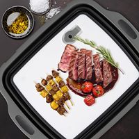 Bac de préparation pliable en silicone pour barbecue avec couvercle planche à découper, récipient de marinade pliable, plateau de préparation de viande pour le camping et la grillade