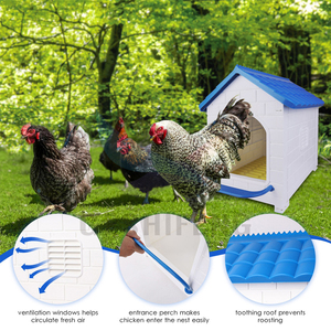 2025 recién llegado nido <span class=keywords><strong>de</strong></span> gallina para poner <span class=keywords><strong>huevos</strong></span> para granja caja nido <span class=keywords><strong>de</strong></span> pollo para aves <span class=keywords><strong>de</strong></span> corral a la <span class=keywords><strong>venta</strong></span> - Product Image 2