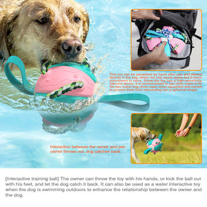 Pet Frisbeed köpek çiğnemek top oyuncaklar için agresif checheinteraktif uçan disk egzersiz oyuncaklar Rebound Frisbeed topları - Product Image 4