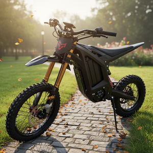 Nouvelle arrivée, moto électrique Arctic Leopard XF PRO, motocross, 72V, corps léger, robuste, tout-terrain, enduro - Product Image 1