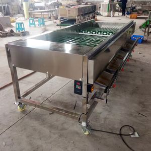 Machine de tri et de calibrage industrielle pour agrumes, oignons, fruits et légumes - Product Image 6