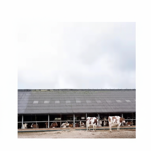 Edificio de almacén prefabricado modular de refugio de vacas de calidad de fabricante de fábrica para Office House Hall Hospital School Mall - Product Image 1