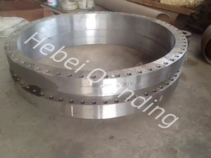Высокого давления <span class=keywords><strong>astm</strong></span> <span class=keywords><strong>a105</strong></span> din 50 кованый глухой фланец из мягкой стали в наличии класса 300