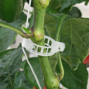 Clips de support pour tomates de jardin de 23 mm, clips de treillis pour tomates, clips de support pour plantes, clips en plastique pour vignes de jardin - Product Image 1