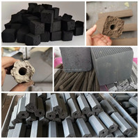 Petite extrudeuse de poussière de tourbe d'argile en poudre de charbon de noix de coco équipement de briquetage machine manuelle à briquettes