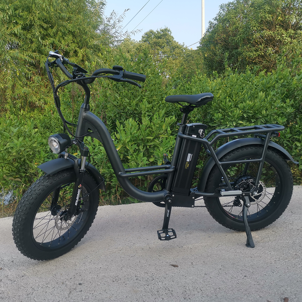 ebike电动马达轻便摩托车epac送货员120千米电动自行车 on m