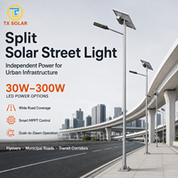 Système d'éclairage solaire professionnel à panneaux séparés avec lampe LED, panneau solaire, batterie et poteau galvanisé