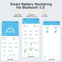 Batteries LiFePo4 OEM/ODM 12V 24V 36V 48V 100Ah 150Ah 200Ah 300Ah 400Ah 600Ah 8000 Cycles pour Système d'Énergie Solaire