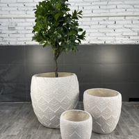 Ensemble de jardinières en béton modernes, motif de feuilles sculptées à la main, pots de fleurs de jardin extérieurs, style minimaliste, blanc, trois tailles
