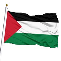 Drapeaux promotionnels personnalisés Bannière Palestine 68D National 90*150 Bannières en tissu polyester Drapeaux 3*5 FT