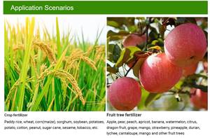 Fertilizante Compuesto Granular NPK <span class=keywords><strong>15</strong></span>-<span class=keywords><strong>15</strong></span>-<span class=keywords><strong>15</strong></span> 17-17-17, Fertilizante Agrícola Equilibrado para Cultivos, Vegetales y Frutas, Suministro de Fábrica - Product Image 6