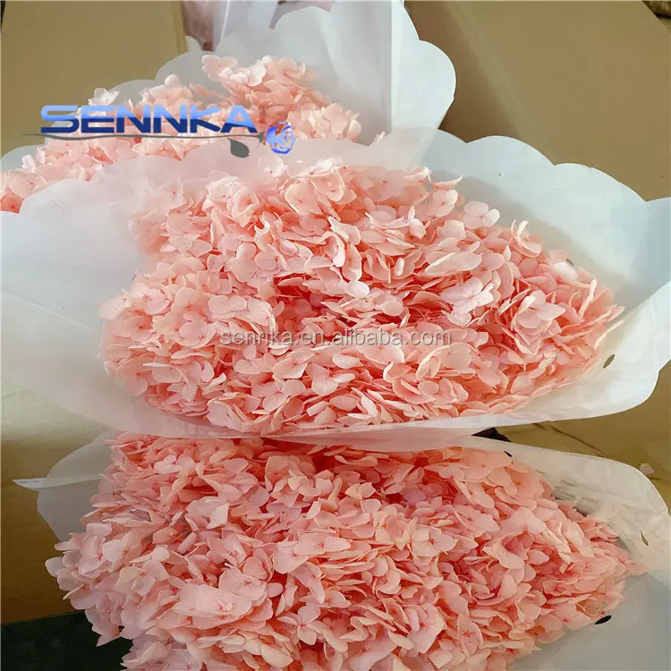 Flor artificial de hortência para casamento, cor-de-rosa barata para sempre de longa duração seca preservada fresca estabilizada