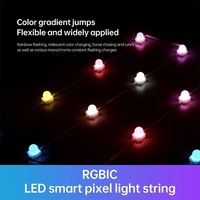 Éclairage décoratif de façade de bâtiment, IP67, linéaire, DC24V, haute luminosité, RGBIC, point pixel, matériau PC, éclairage extérieur