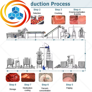 Ligne de production de ketchup et de purée de tomates ORME avec stérilisateur alimentaire et mélangeur, machine automatique en acier inoxydable 304 - Product Image 2