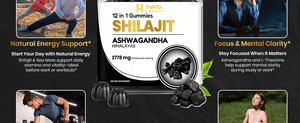 Gomitas de Shilajit de Marca Privada ODM/OEM, Suplemento Enzimático de Shilajit Puro del Himalaya con Ácido Fúlvico y Más de 85 Minerales Traza - Product Image 6