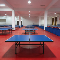 Sol sportif en plastique résistant à l'usure Runsure pour l'entraînement au volley-ball, écologique, vente en gros à prix d'usine au Vietnam