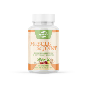 OEM ODM Vente chaude - Complément alimentaire pour la santé des muscles et des articulations - avec ginseng, curcuma et herbes pures |   Soutien à la relaxation après l'entraînement - Product Image 1