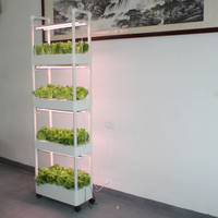 Système de jardin hydroponique vertical intérieur à deux couches Fabricant de base de vente à l'exportation comprenant une ferme à pompe pour la culture domestique