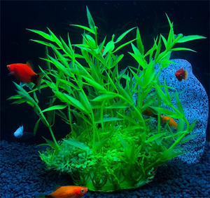 Ornements d'<span class=keywords><strong>aquarium</strong></span> au meilleur prix Plantes artificielles - Product Image 3