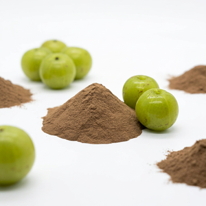 Amla Super Fine Powder Proveedor DE LA India al mejor precio - Product Image 1