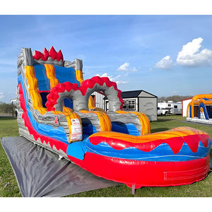 Prix promotionnel : toboggan aquatique gonflable pour piscine, toboggan aquatique coloré pour la cour avec souffleur HUAWEI - Product Image 1