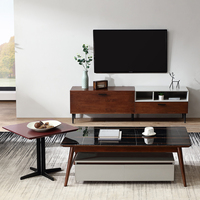 Combinaison de meubles de luxe 870116, table basse moderne en teck et meuble tv