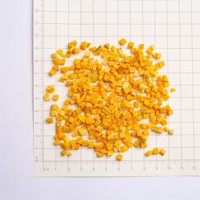 Offre Spéciale : Chips de Citrouille Fraîches Lyophilisées, Dés de Citrouille Lyophilisée, Tranches de Citrouille Lyophilisées