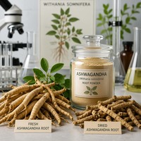 Poudre d'extrait de racine d'Ashwagandha naturelle à base de plantes, 5% 10% Withanolides, qualité alimentaire, extraction par eau/éthanol