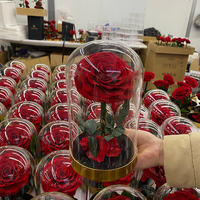 Valentinstag Muttertag Weihnachtsgeschenke Ewige Konservierte Rosen Metallbasis Glaskuppel Heimdekoration LED Langlebig 3-5 Jahre