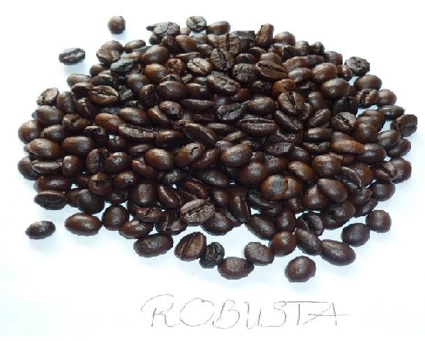Ароматические жареные кофейные зерна Weasel от Robusta, Произведено в центральном высоте Вьетнама