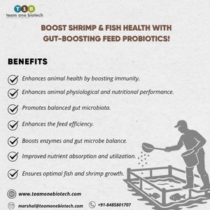 Aditivos Probióticos Ecológicos para Alimento de Peces, Suplemento Sostenible y Natural para la Vida Acuática - Product Image 1