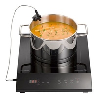 Table de cuisson à induction portable pour la maison, contrôle par sonde thermique, GS/CE 2100W, plaque de cuisson à induction