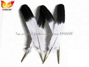 ZPDECOR <span class=keywords><strong>Piume</strong></span> d'Aquila Arrotondate d'Ala <span class=keywords><strong>di</strong></span> Tacchino <span class=keywords><strong>Bianche</strong></span> con Punta Nera all'Ingrosso dalla Fabbrica per Abiti da Festa a Tema Carnevale - Product Image 4