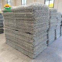 Gabions en fil de fer galvanisé avec revêtement PVC pour le contrôle des inondations et les travaux de canalisation, service de découpe disponible