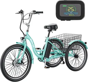 LEWEE fabbrica nuovo Design 24 pollici tre ruote biciclette 350W 7 velocità con freno a disco triciclo elettrico con Display LCD per adulti