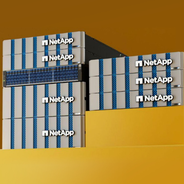 NetApp AFF A70 All Flash Storage Solution Dual-Active Controllers 256G System Memory USB Interface 24x7.6T SSD 25Gb Network