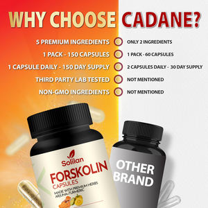 Cápsulas de Emagrecimento Herbal Natural 5 em 1 da China com <span class=keywords><strong>Forskolin</strong></span>, Garcinia Cambogia e Extrato de Chá Verde com Arjuna e Cúrcuma - Product Image 5