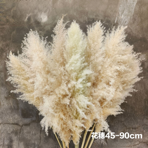 Grand bouquet <span class=keywords><strong>de</strong></span> fleurs séchées d'herbe <span class=keywords><strong>de</strong></span> la <span class=keywords><strong>pampa</strong></span>, style nordique, pour décoration <span class=keywords><strong>de</strong></span> mariages et <span class=keywords><strong>de</strong></span> fêtes, fleurs artificielles en gros - Product Image 3