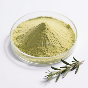 Food Grade Premium suplemen ekstrak Rosemary asam Carnosic bubuk Herbal antioksidan dalam botol kemasan kaleng Drum - Product Image 3