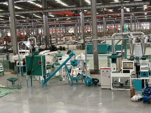 Machine à moudre la <span class=keywords><strong>farine</strong></span> de maïs |   Qualité industrielle |   Faible consommation d'énergie - Product Image 2