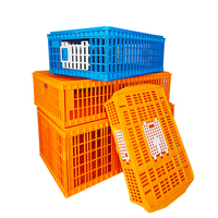 QA Caisse de Transport en Plastique pour Petite Volaille, Poulets de Chair, Pigeons, Poussins et Cailles